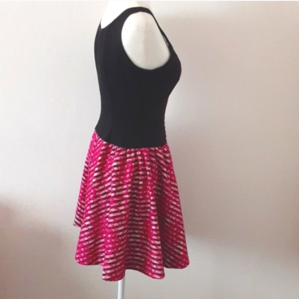 Amanda Uprichard Nadia Lace Skater Dress Pink Striped Gold Zip Fit & Flare M - Picture 4 of 7
